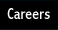 Careers